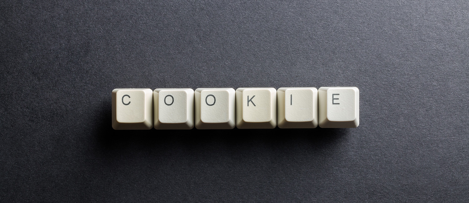 Website Cookie Policy For Travelers Beach Inn